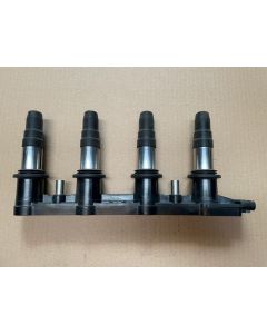 Zündspule (Neu - Take off), Rail + 4 Ingnition Coils 96476983