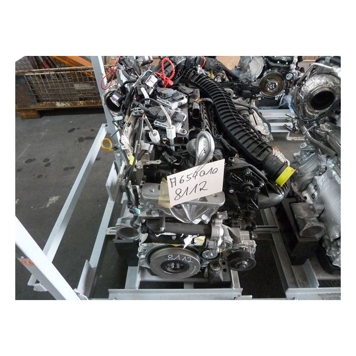 Dieselmotor F247 (Neu) mit Injektoren 0445117048, Hochdruckpumpe 
